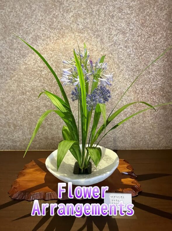 画像 画像