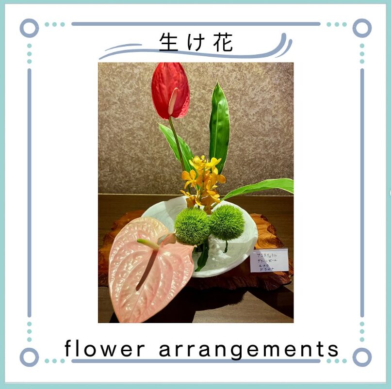 画像 画像
