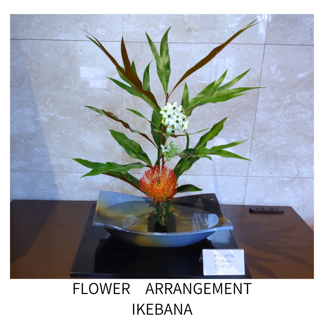Flower arrangement ikebana (4)