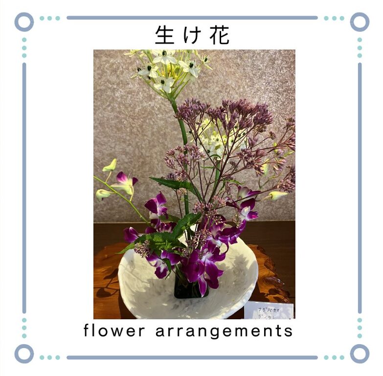画像 画像