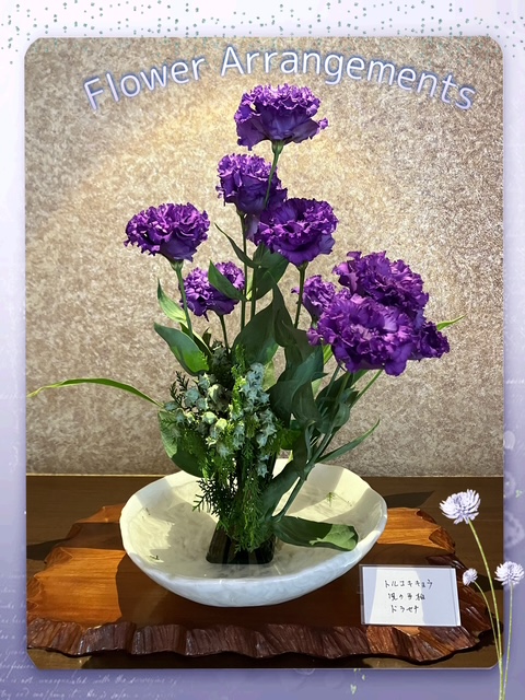画像 画像