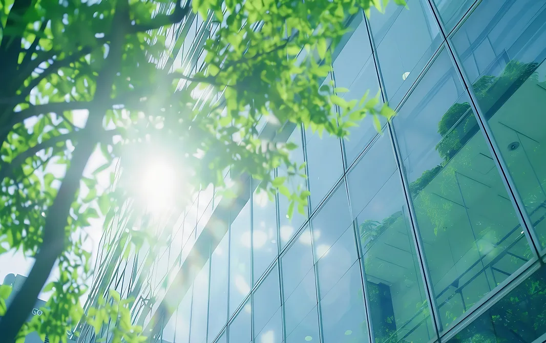 Company 会社概要