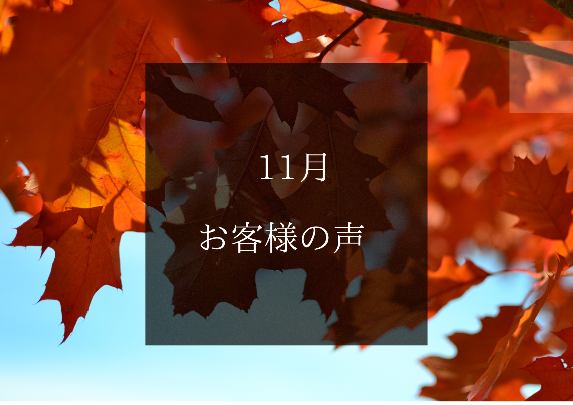 Pick up ピックアップ